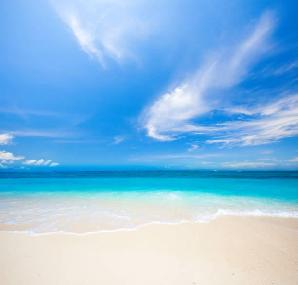 istock beach and tropical sea 821743128