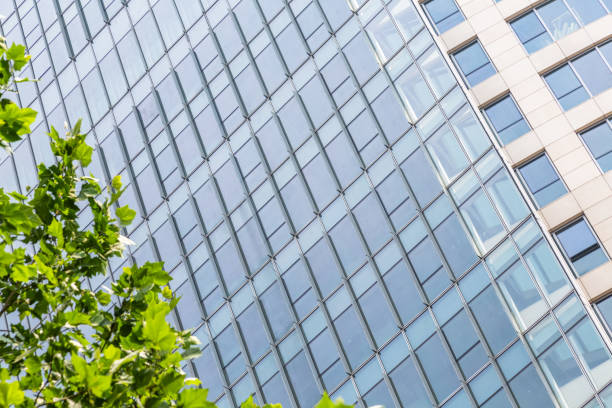 istock detail shot of modern architecture facade with green tree 821746352