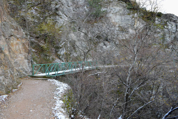 istock Nature of Macedonia. Strumitsa (Strumica) mountain forest 821746394