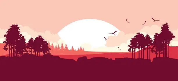 Vector illustration of Nature at sunset