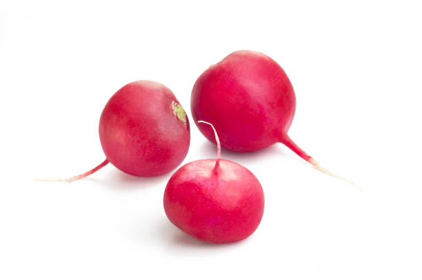 small garden radish isolated on white background - root hair imagens e fotografias de stock