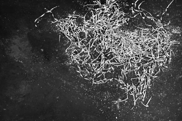 Metal shavings. Metalworking and materials