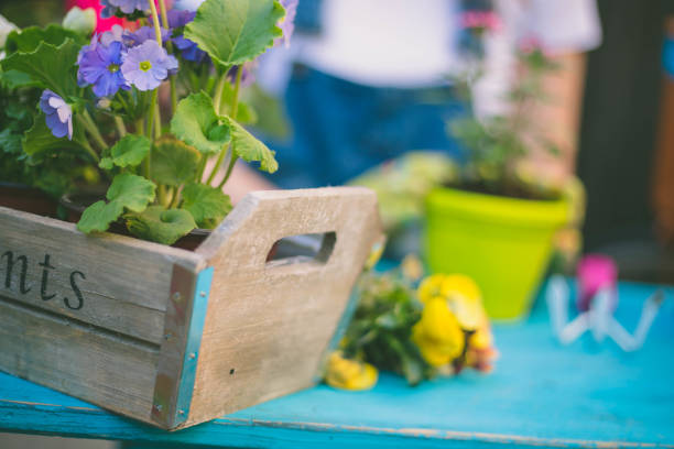 istock Young woman gardening 821759998