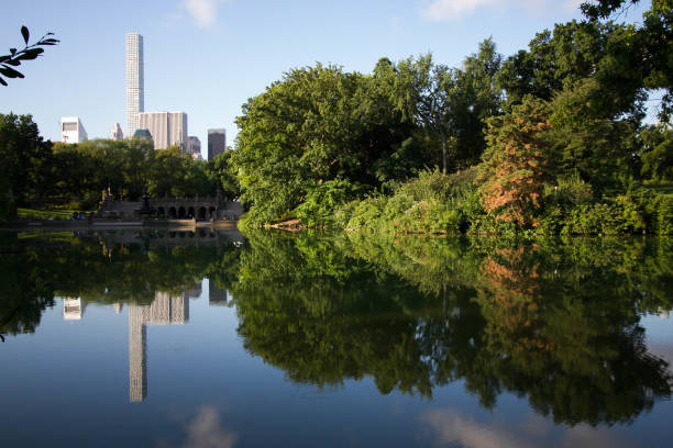 istock Reflection of trees and buildings in summer with blue sky 821760586