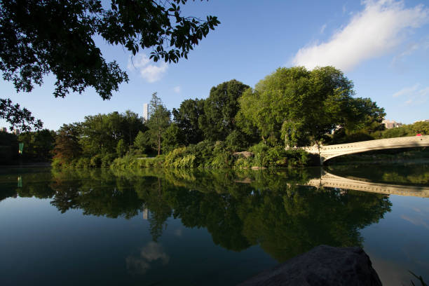 istock Bow bridge and trees reflect on water with blue sky 821760662