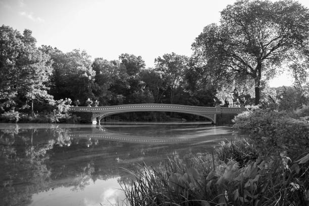 istock Trees around Bow bridge and reflective lake at Central Park in black and white style 821760720