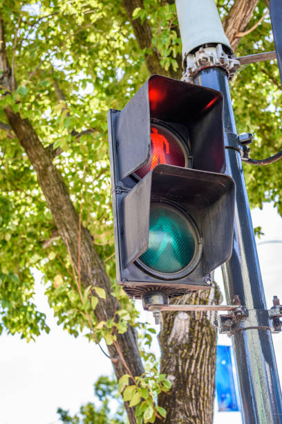 istock Red traffic light on, against green tree leaves background. 821764350