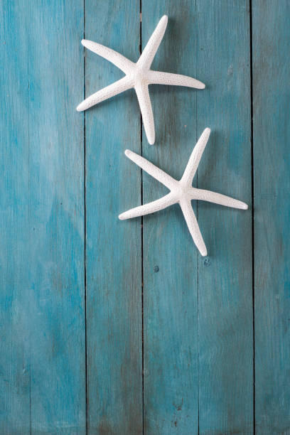 istock Summer background with starfish on blue background ,holiday card 821768774