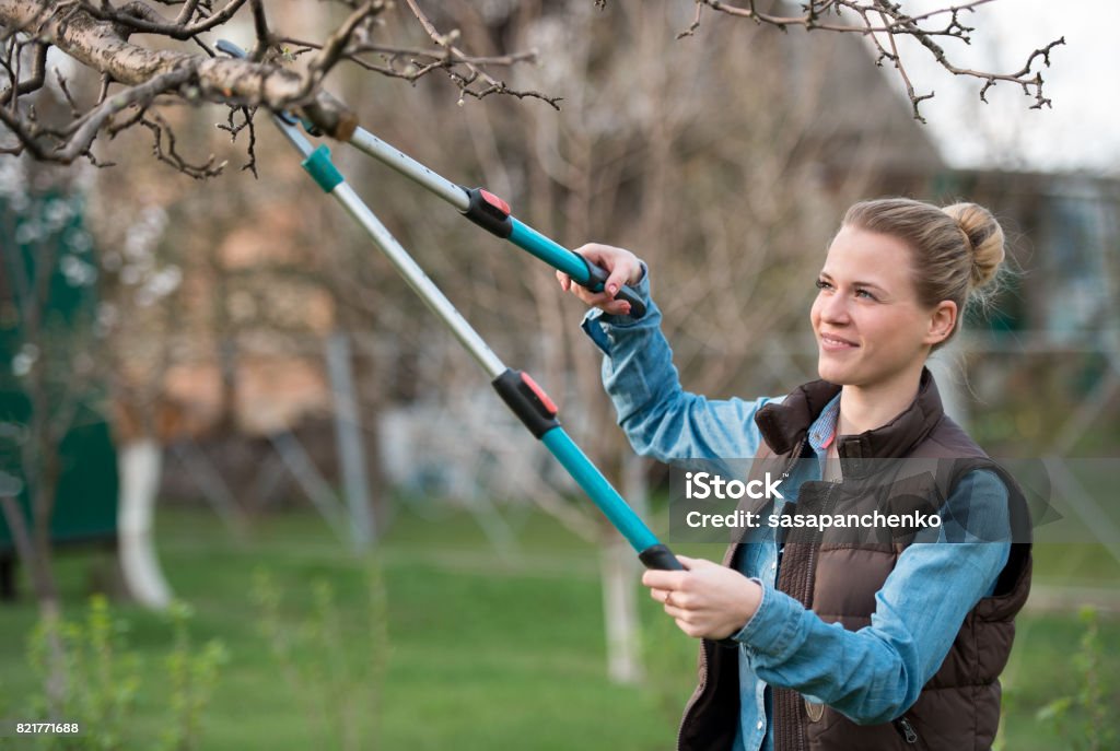 Girl gardener working in the spring garden and trimming tree Pruning - Gardening Stock Photo