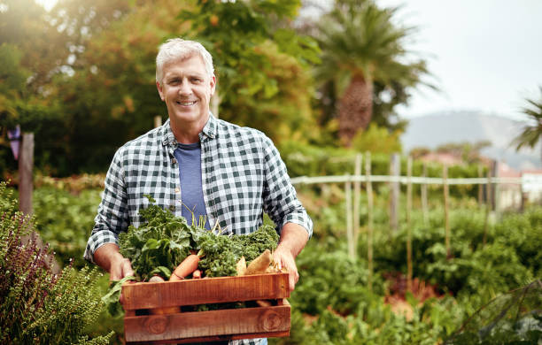istock Growing your own food is definitely a cost-saver 821771746