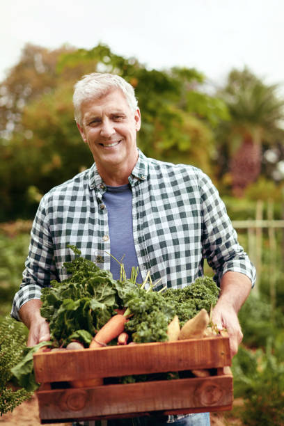 istock Eat more food harvested from the ground 821771770