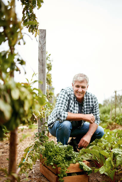 istock He knows what it takes to keep his plants healthy 821771868