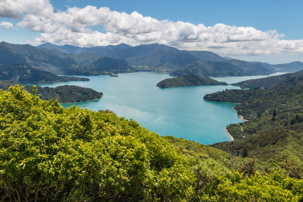 マールボロ ・ サウンドでのクィーン ・ シャーロット ・ サウンドの航空写真 - queen charlotte sound ストックフォトと画像