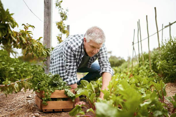 istock Control what goes in your food 821771926