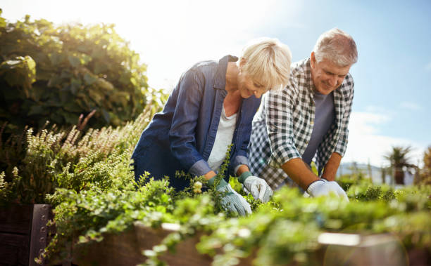 istock Gardening is the perfect retirement hobby 821771934