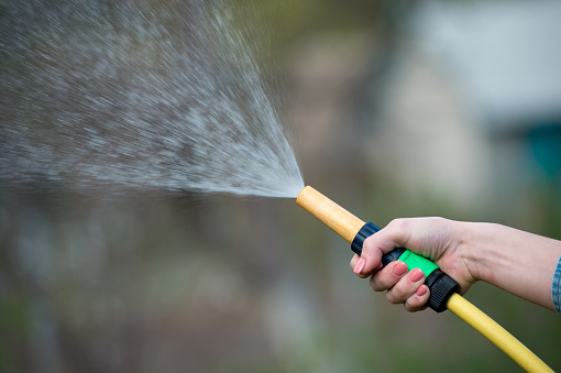 hand watering garden with sprinkler, close up