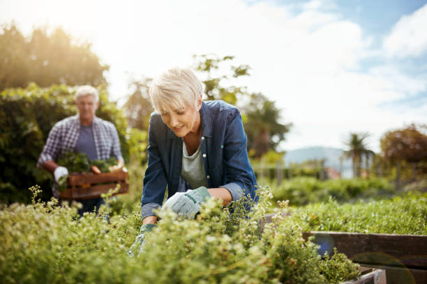 istock Gardening combines exercise and an appreciation for beauty 821772018