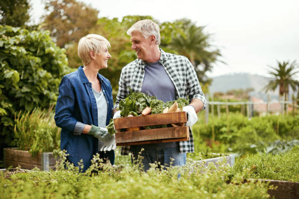 istock Nothing beats a healthy and productive garden 821772150