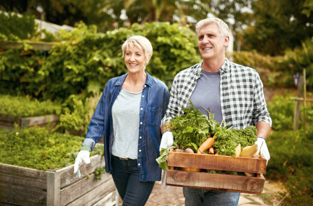 istock Growing your own vegetables is both fun and rewarding 821772192