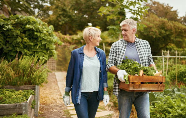 istock Saving a truckload on our food bill 821772202