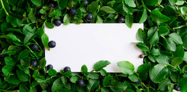 istock Layout made of leaves and berries 821772522