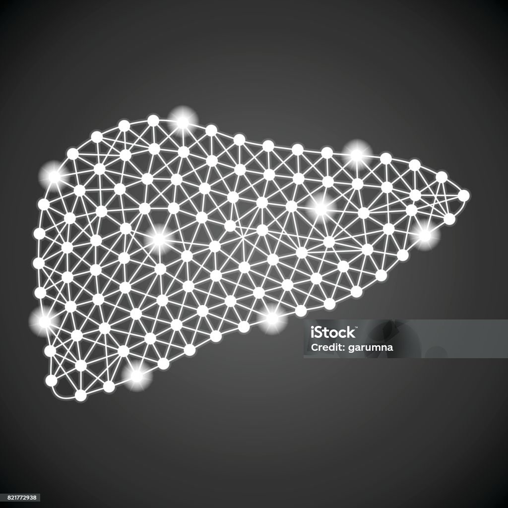 Empty Vector Liver Human Liver Isolated On A Black Background Vector Illustration Stock ...