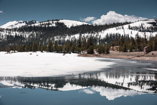 スタニスラウス国立フォレスト ビュー - stanislaus national forest ストックフォトと画像