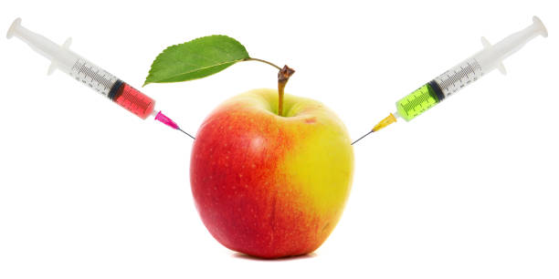 jabłko zatrzymany rezygnować strzykawka. koncepcja modyfikacji genetycznej owoców - genetic modification hormone apple syringe zdjęcia i obrazy z banku zdjęć