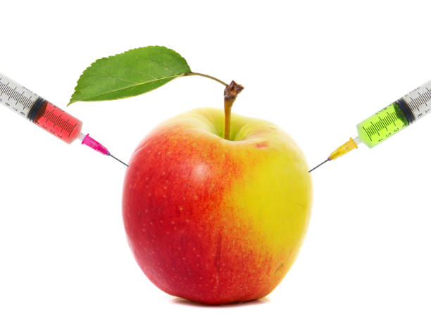 jabłko zatrzymany rezygnować strzykawka. koncepcja modyfikacji genetycznej owoców - genetic modification hormone apple syringe zdjęcia i obrazy z banku zdjęć