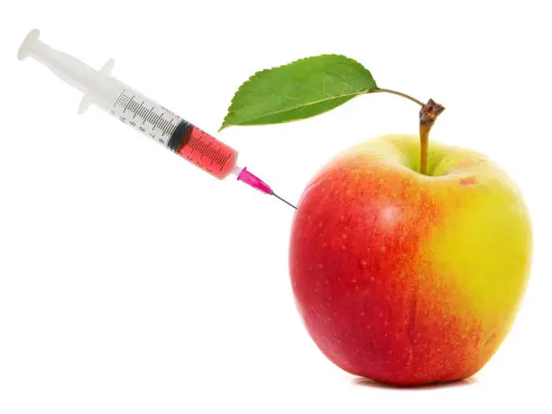 Apple stuck with syringe, concept of genetic modification of fruits, artificial ripening and chemical treatment