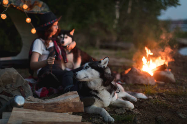 istock Woman with dogs on nature 821787924