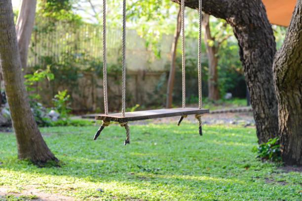 istock empty wooden swing hanging from a large tree with sunlight in the garden 821788546