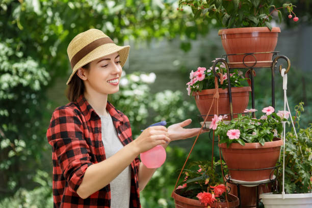 istock gardener spraying water on plants 821791692