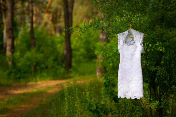 istock White Wedding Dress hanged on a tree in the forest 821798052