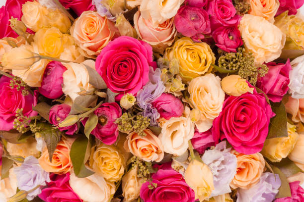 istock Abstract background of flowers Close-up 821799554