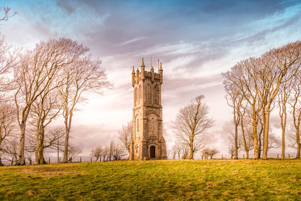 istock The Barnweil Tower Ayrshire 821799584