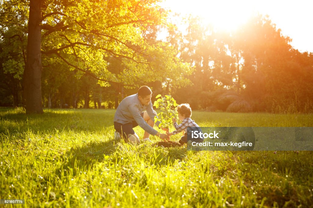 Padre e hijo, plantación árbol - Foto de stock de Árbol libre de derechos