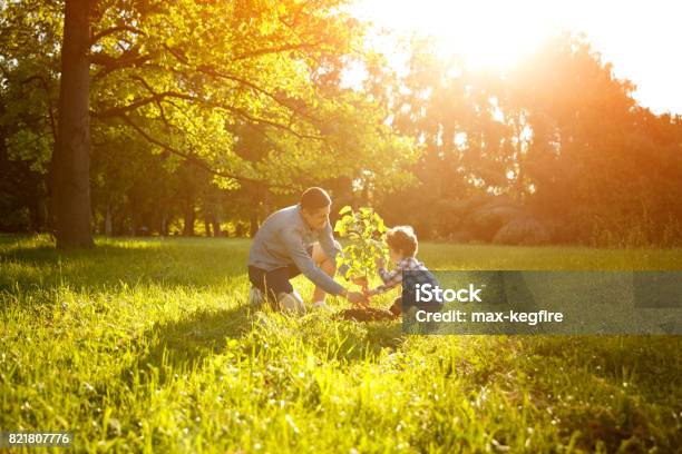 Padre E Hijo Plantación Árbol Foto de stock y más banco de imágenes de Árbol - Árbol, Plantar, Naturaleza