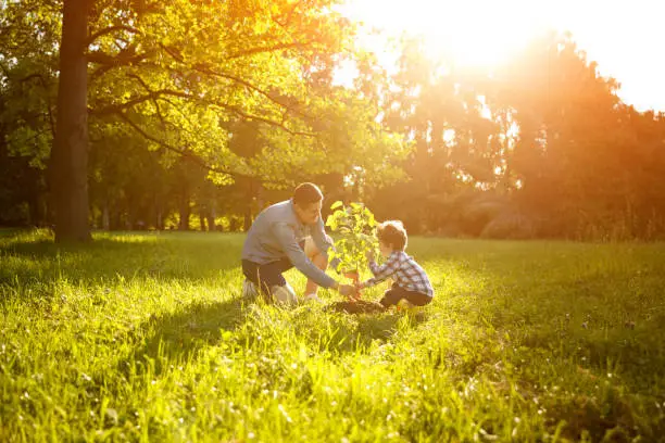 Photo of Father and son planting tree