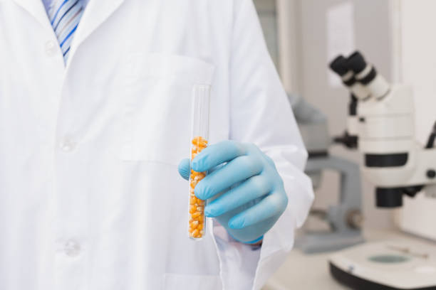 scienziato in possesso di provetta con mais all'interno - test tube biologist laboratory beaker foto e immagini stock