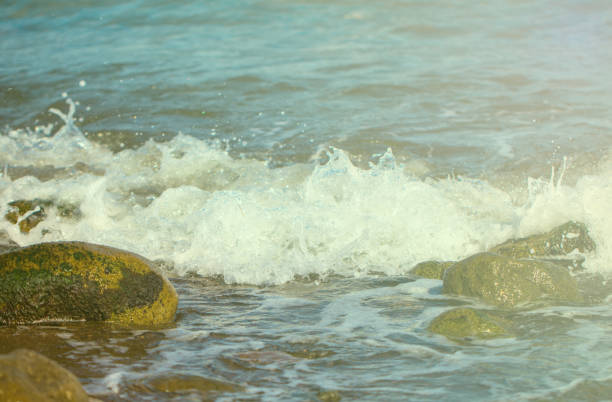 Sea surface with white wave over beach stones. Seashore under sun toned photo. Seaside vintage postcard. Sunny day on beach banner template. Oceanic surf background. Marine scene with refreshing wave