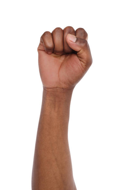 Male black fist isolated on white background Male black fist isolated on white background. African american clenched hand, gesturing up. Counting, aggression, brave, masculinity concept isolated colour stock pictures, royalty-free photos & images