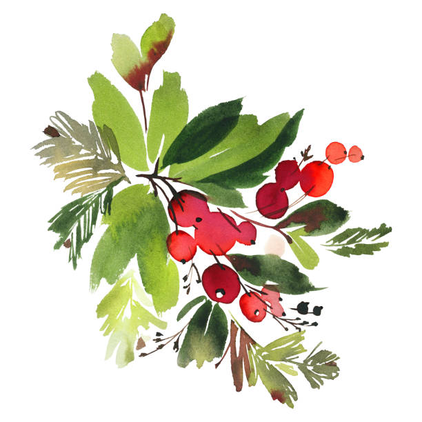 가문비나무와 딸기 크리스마스 수채화 카드 - christmas christmas tree flower frame stock illustrations