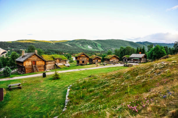 잔디 지붕, 일로, 노르웨이에 framehouses - built structure norway old architecture 뉴스 사진 이미지