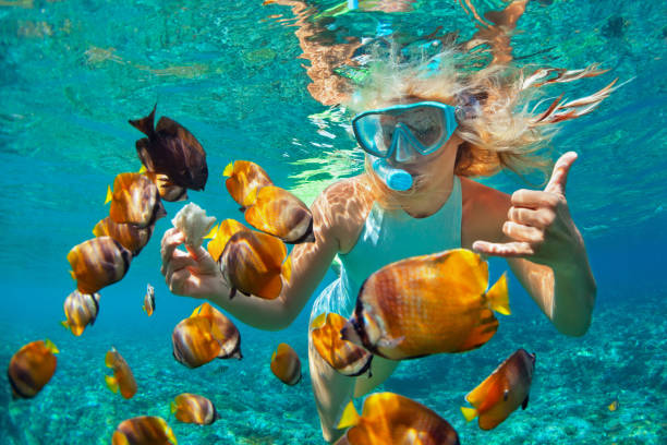 mujer joven snorkeling con peces de arrecife de coral - diving equipment fotografías e imágenes de stock