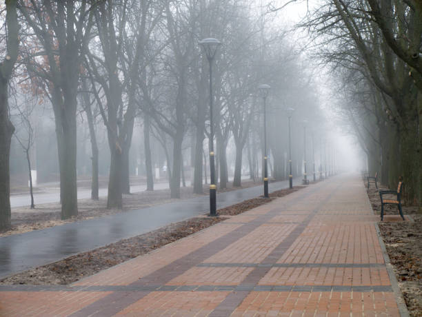 névoa da manhã no beco da cidade - street light fog morning country road - fotografias e filmes do acervo