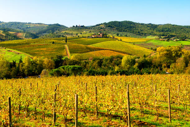 istock Tuscany landscape in autumn 821842690