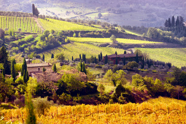 istock Tuscany landscape in autumn 821842964
