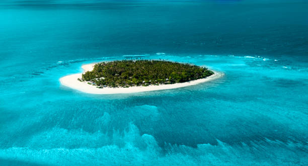 ilha tropical remota - tree single object remote landscape - fotografias e filmes do acervo