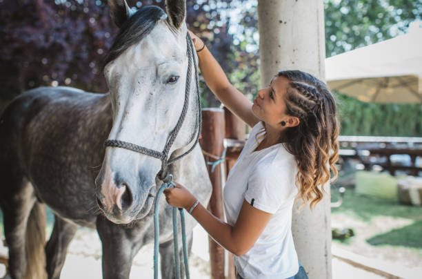 istock Tacked up and ready to ride! 821853230